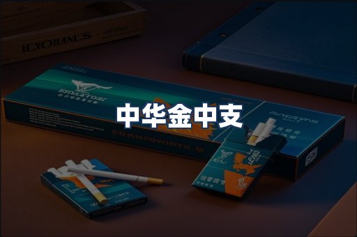 中华金中支